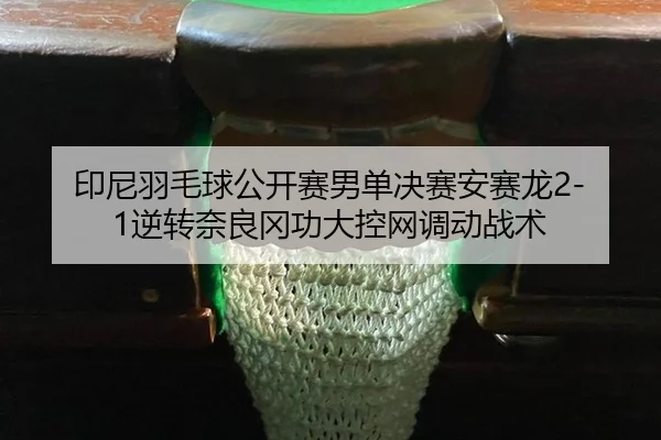 yin-ni-yu-mao-qiu-gong-kai-sai-nan-dan-jue-sai-an-sai-long-ni-zhuan-nai-liang-gang-gong-da-kong-wang-diao-dong-zhan-shu-2-256.jpg