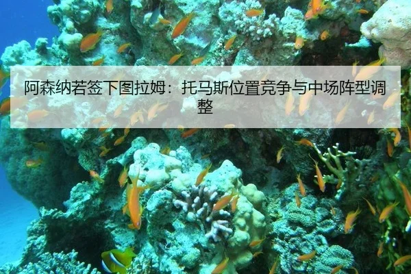 a-sen-na-ruo-qian-xia-tu-la-mu-tuo-ma-si-wei-zhi-jing-zheng-yu-zhong-chang-zhen-xing-tiao-zheng-2-855.jpg